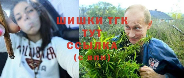 гидра Лабытнанги