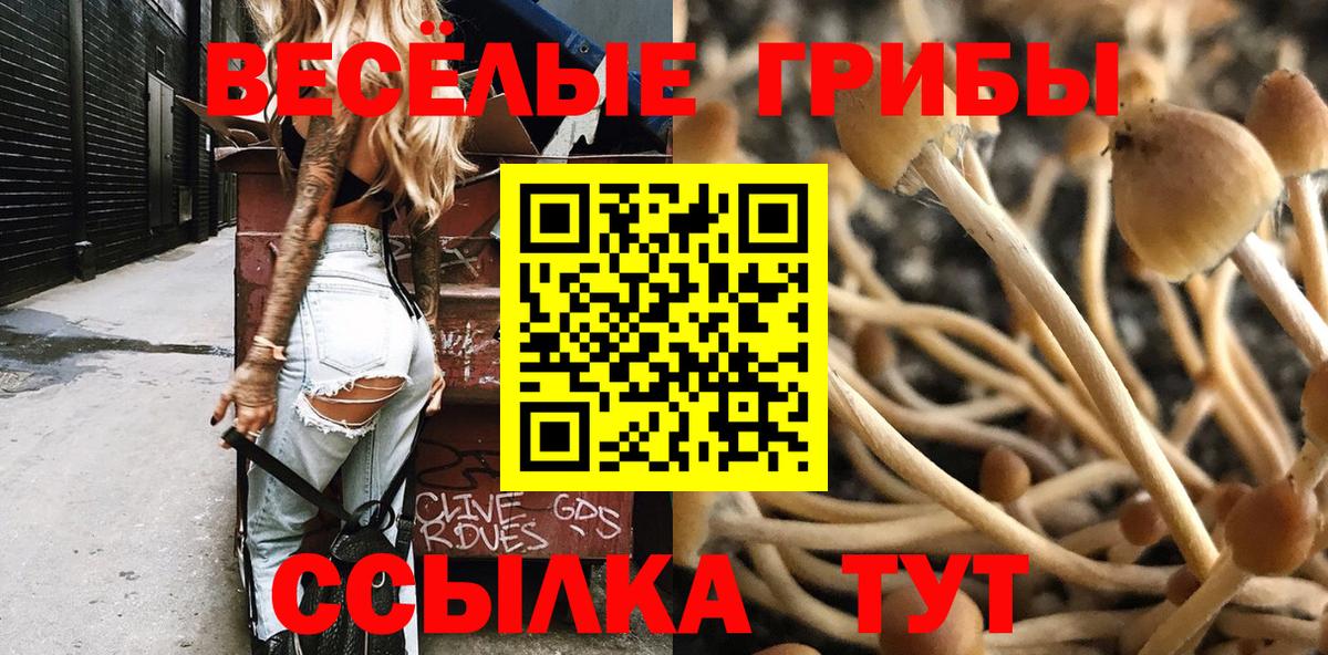 Мефедрон кристаллы  Жуковский  Кокаин  Вход с VPN  Канабис  МЕТАМФЕТАМИН 