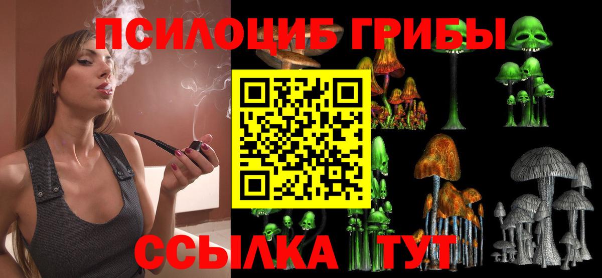 Псилоцибиновые грибы GOLDEN TEACHER Жуковский