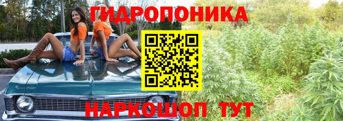 Шишки марихуана THC 21% Жуковский